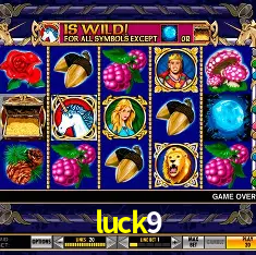 luck9 Rio de Janeiro - Bonus Terms